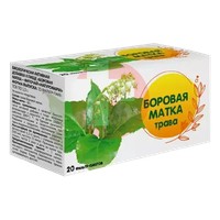 БОРОВАЯ МАТКА