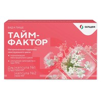 ТАЙМ ФАКТОР