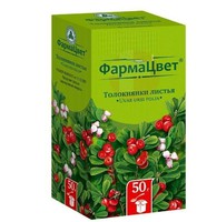 ТОЛОКНЯНКА