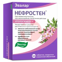 НЕФРОСТЕН