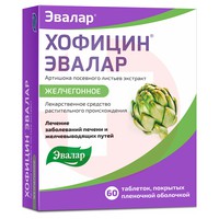 ХОФИЦИН