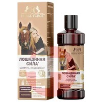 ЛОШАДИНАЯ СИЛА