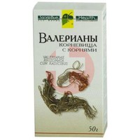 ВАЛЕРИАНЫ КОРНЕВИЩА С КОРНЯМИ