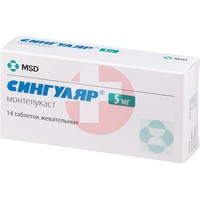 СИНГУЛЯР