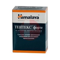 ТЕНТЕКС ФОРТЕ